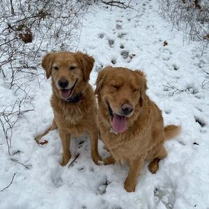 Meet your Posher, Linda